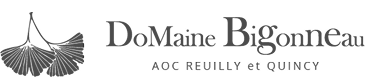 Logo Domaine Bigonneau