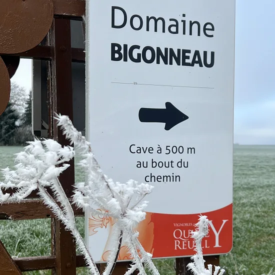 Panneau Domaine Bigonneau indiquant la cave à 500 m dans les vignes givrées de Brinay