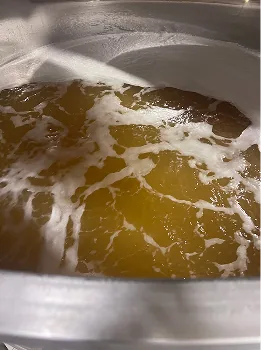 Vin blanc en fermentation dans une cuve du Domaine Bigonneau