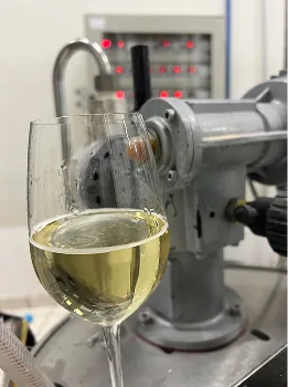 Verre de vin blanc de Quincy dans la cuverie du Domaine Bigonneau