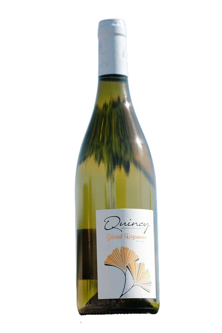 Bouteille de vin Quincy Gérard Bigonneau, Sauvignon du terroir familial de Brinay